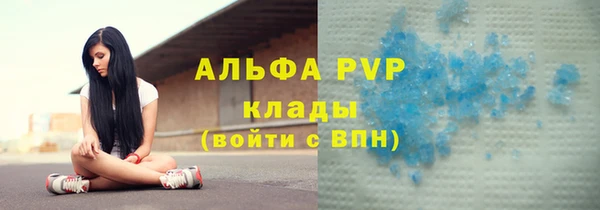 apvp Верея