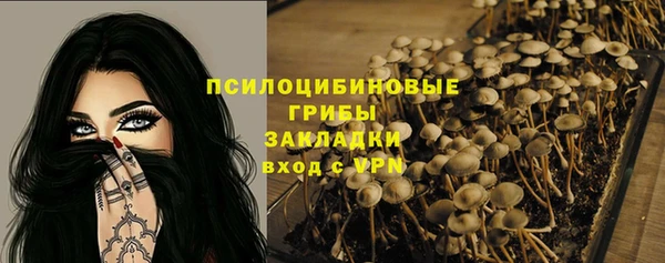 apvp Верея
