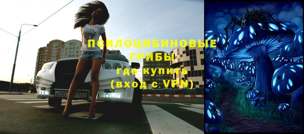 apvp Верея