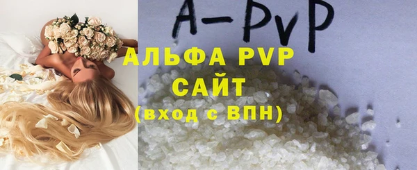 гидра Пересвет