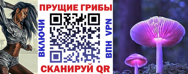 как найти наркотики  Вуктыл  Галлюциногенные грибы Psilocybe 